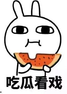 娱乐吃瓜群众2,揭秘娱乐圈背后的秘密与八卦